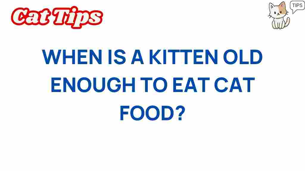 kitten-nutrition-when-eat-cat-food