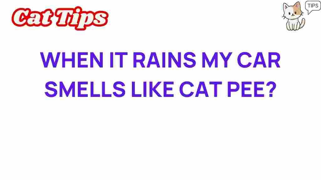 car-smell-cat-urine-when-it-rains