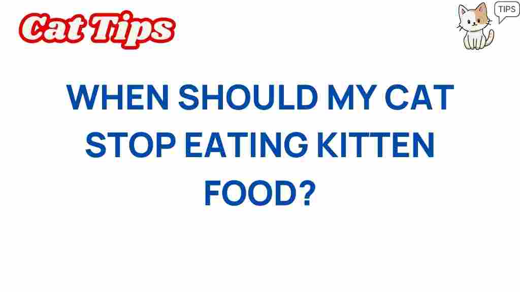 when-should-my-cat-stop-eating-kitten-food