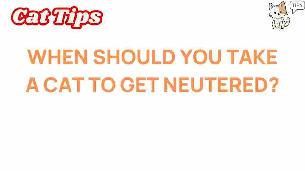 neuter-your-cat-when