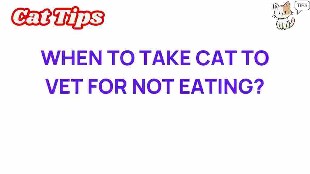 when-to-take-cat-to-vet-for-not-eating