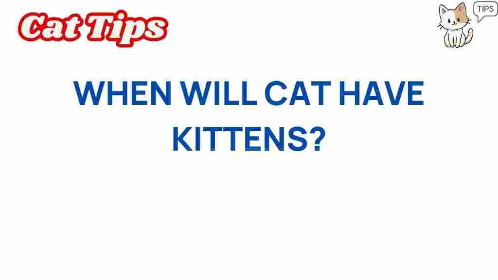 when-will-cat-have-kittens