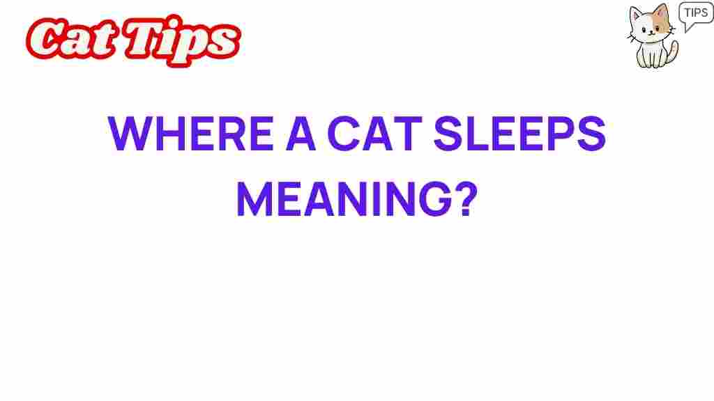 cat-sleeping-habits-meaning