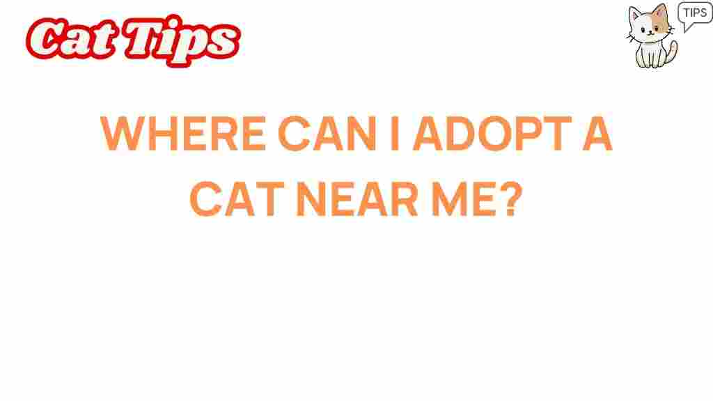 adopt-a-cat-near-me