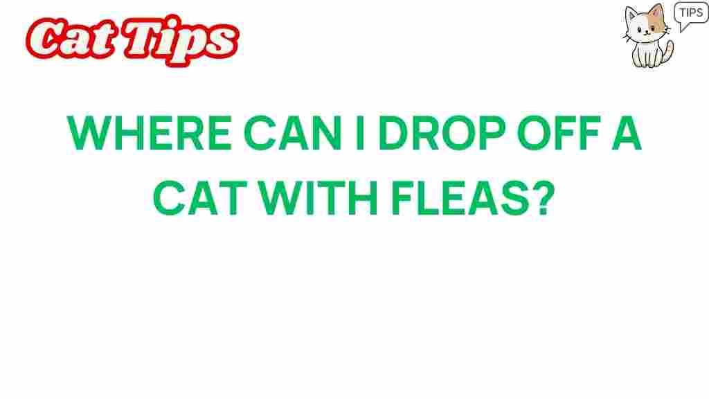 where-can-i-drop-off-cat-with-fleas