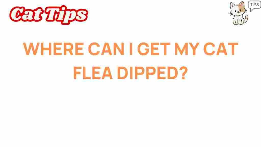 cat-flea-dip-locations