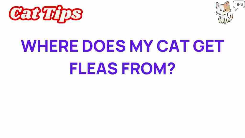 where-does-my-cat-get-fleas