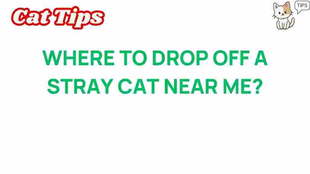 stray-cat-drop-off-locations