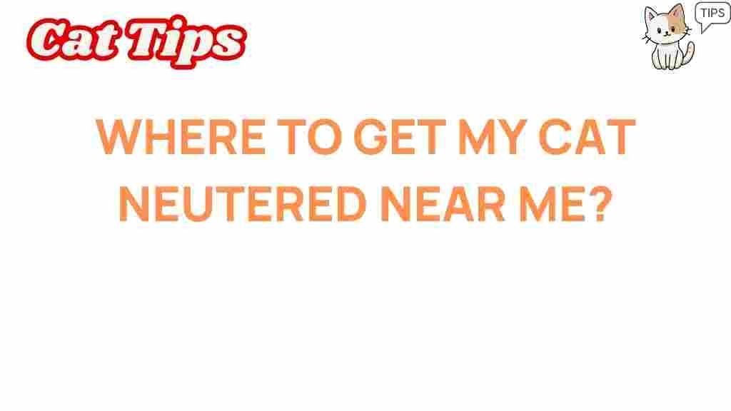 cat-neutering-near-me