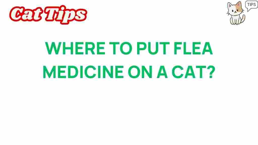 flea-medicine-application-cat