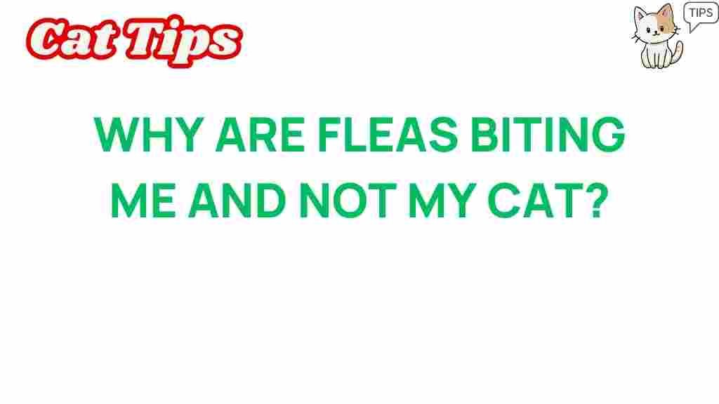 why-are-fleas-biting-you-over-cat