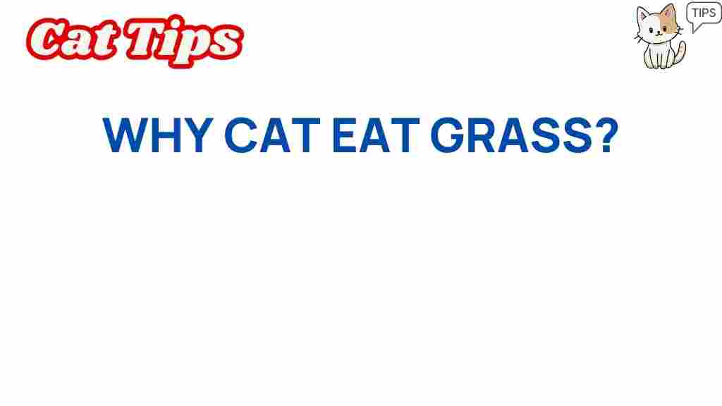 why-cats-eat-grass