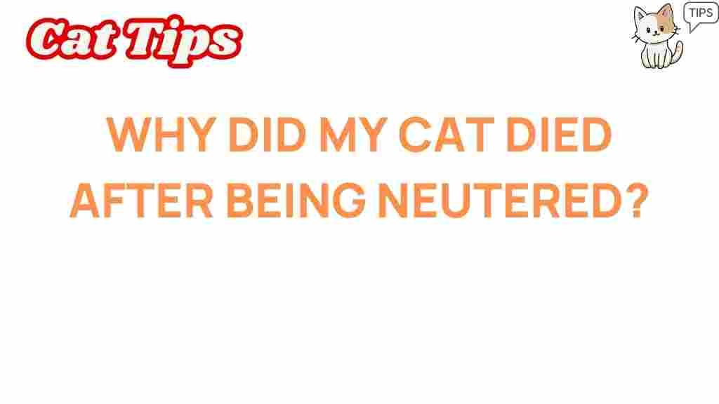 cat-health/neutering-risk