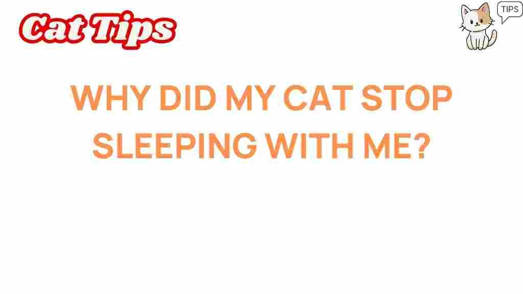 cat-behavior-stop-sleeping