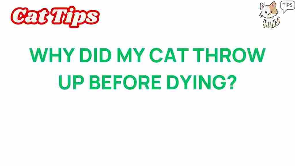 cat-health-why-my-cat-threw-up-before-dying