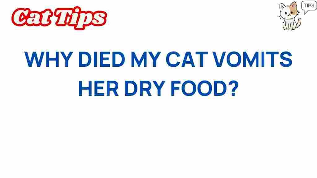 why-does-my-cat-vomit-dry-food