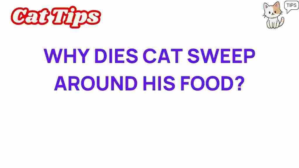 cat-behavior-sweep-food