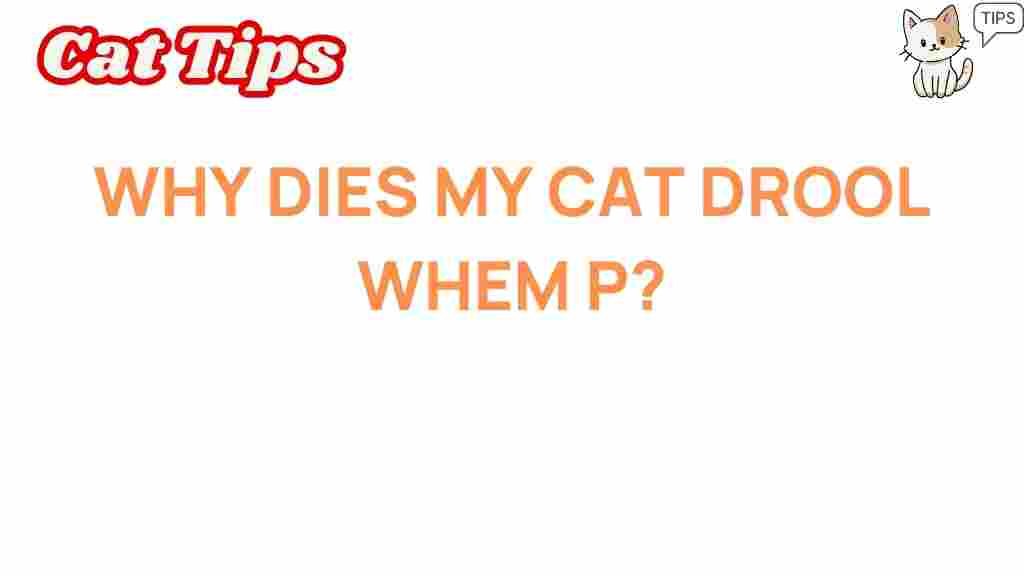 cat-drooling-mystery