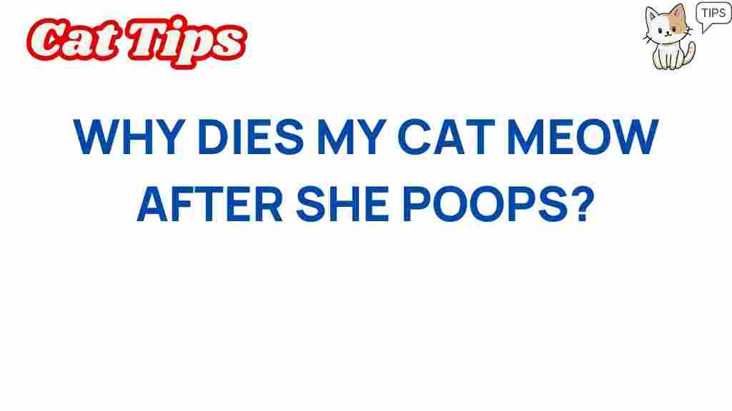 cat-behavior-meow-after-poop