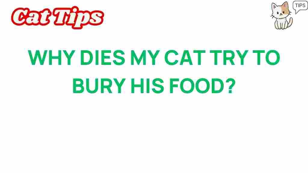 why-does-my-cat-bury-food