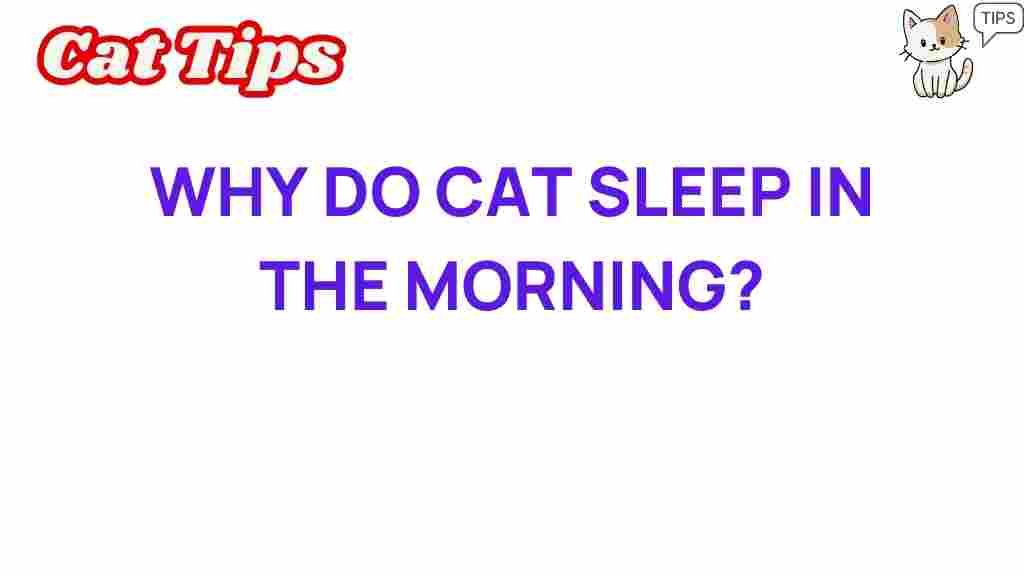 why-cats-sleep-in-the-morning