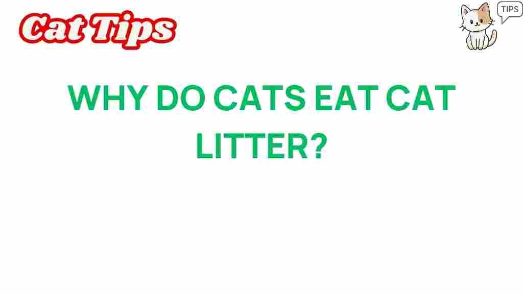 why-do-cats-eat-cat-litter