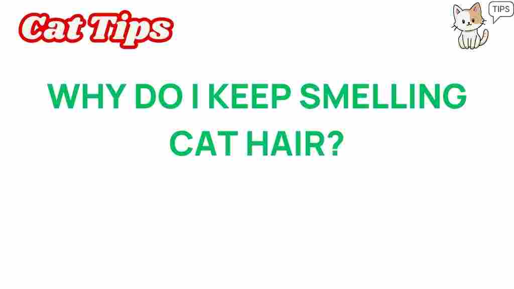 cat-smell-pet-odors
