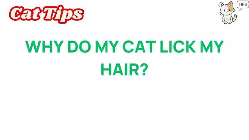 why-do-my-cat-lick-my-hair