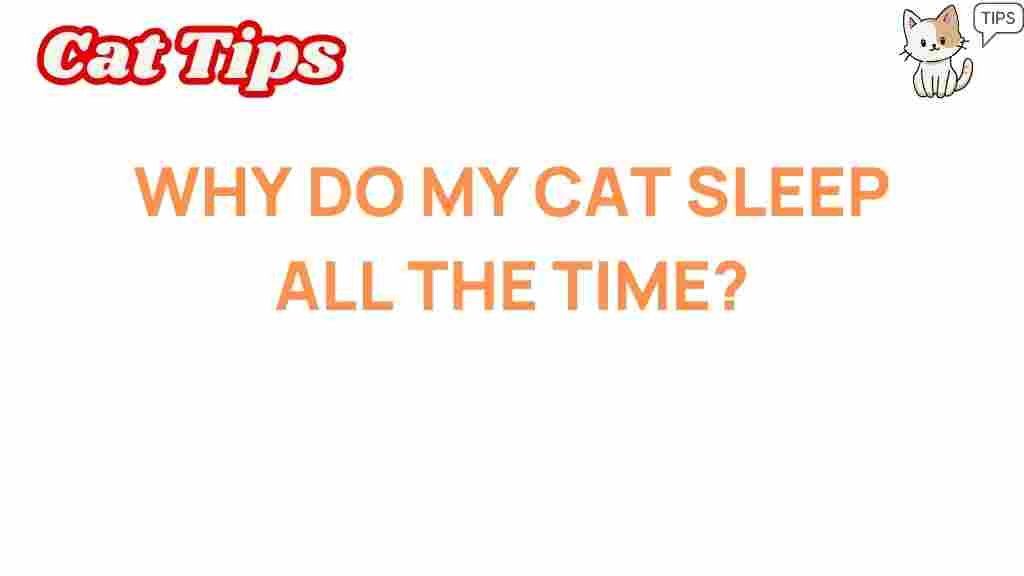 why-do-cats-sleep