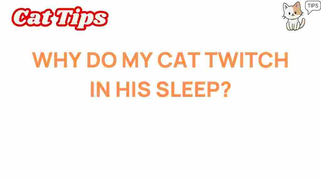 cat-twitching-in-sleep