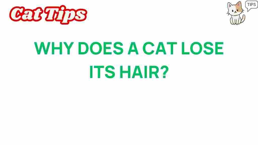 cat-hair-loss-reasons