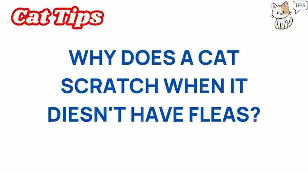 cat-scratching-mystery