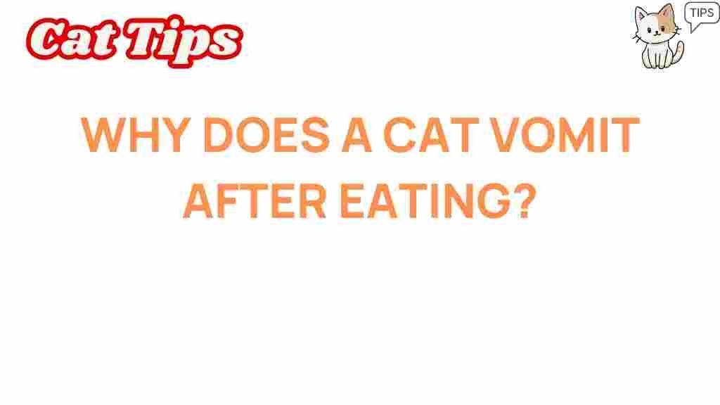 cat-vomiting-after-eating
