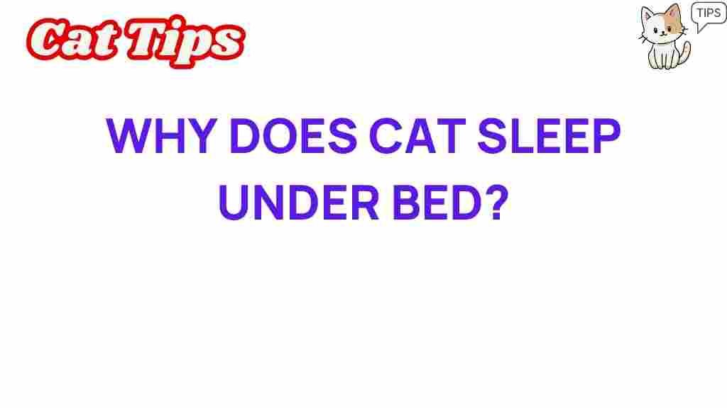 cat-behavior-sleep-under-bed
