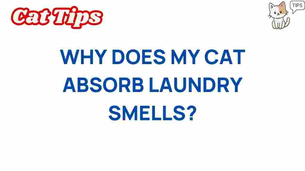 cats-absorb-laundry-smells