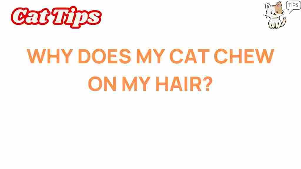 cat-behavior-hair-chewing