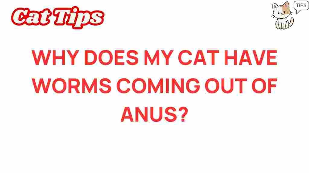 cat-health-worms-anus