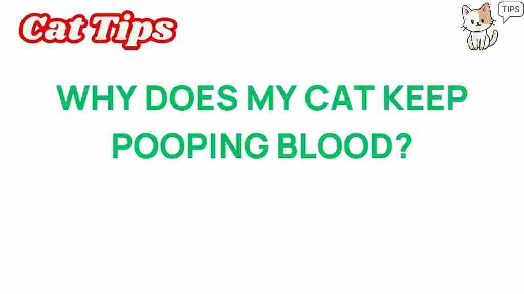 cat-health-blood-in-stool