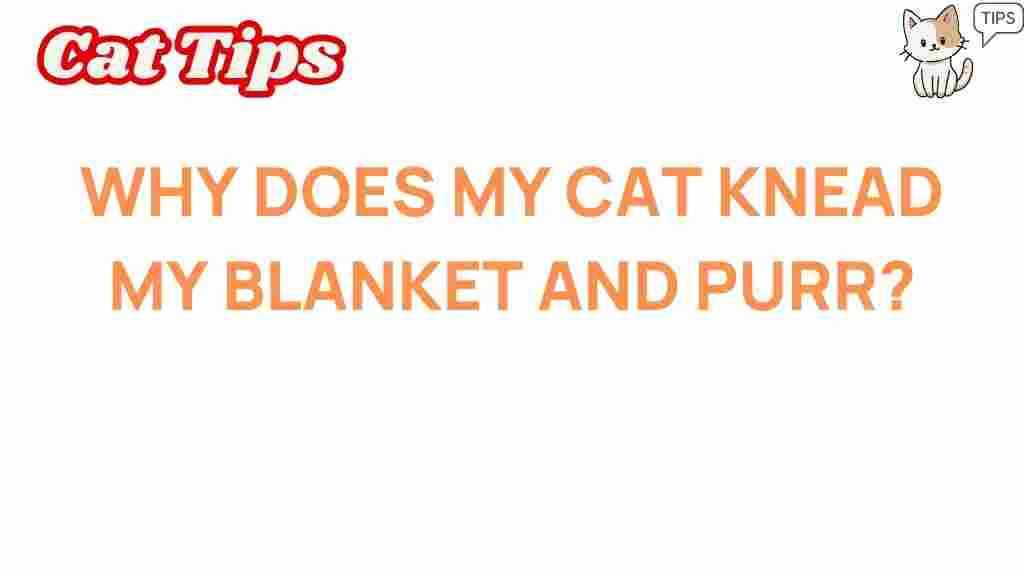 cat-behavior-kneading-purring