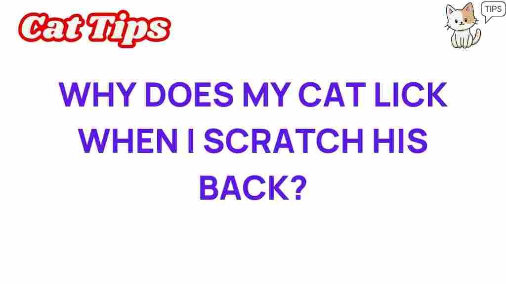 cat-licking-behavior