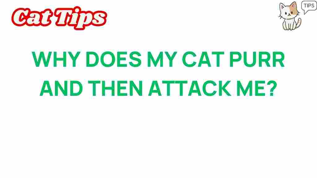 cat-behavior-purr-attack