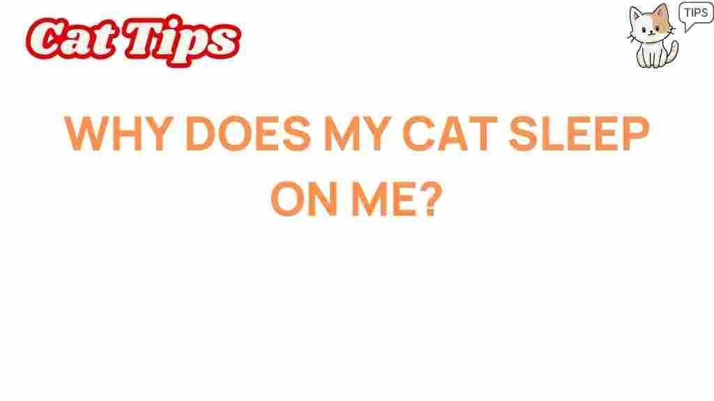 cat-sleep-on-you