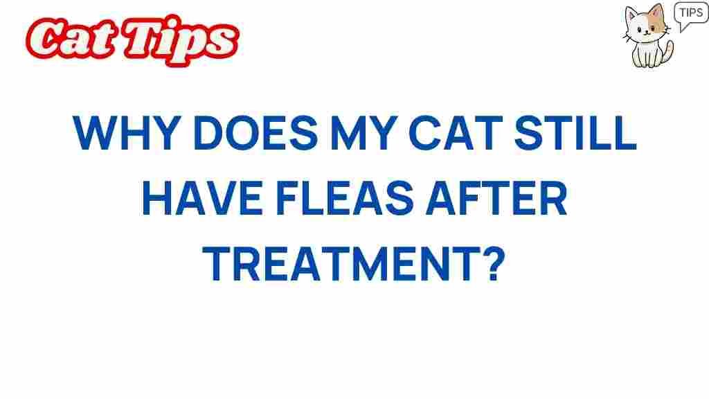 cat-fleas-after-treatment