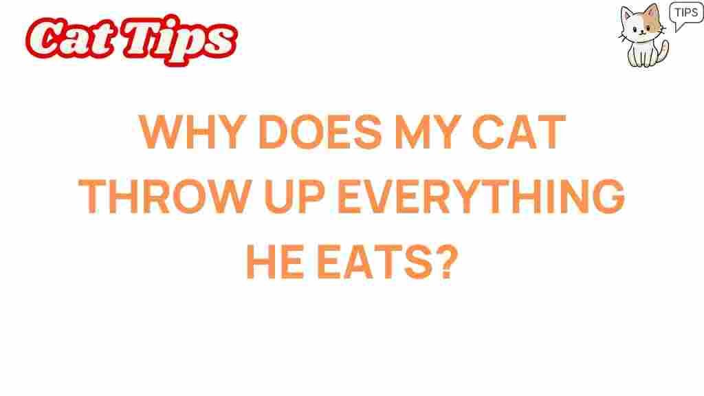 cat-vomiting-why-does-my-cat-throw-up