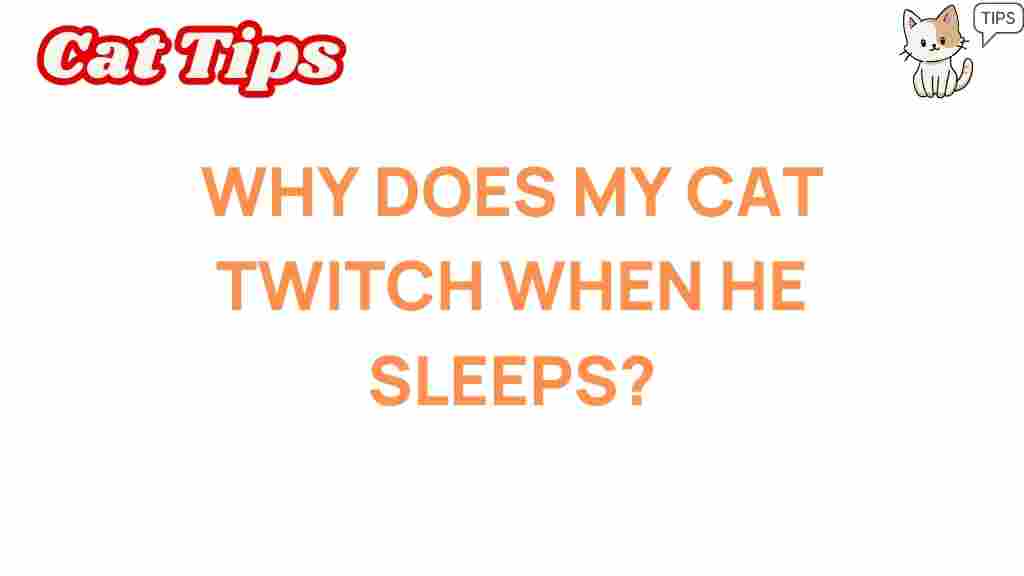 cat-twitching-in-sleep