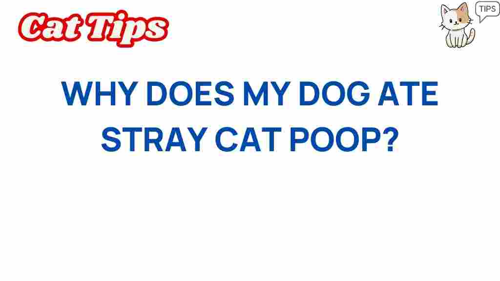 dog-behavior/why-dogs-eat-stray-cat-poop
