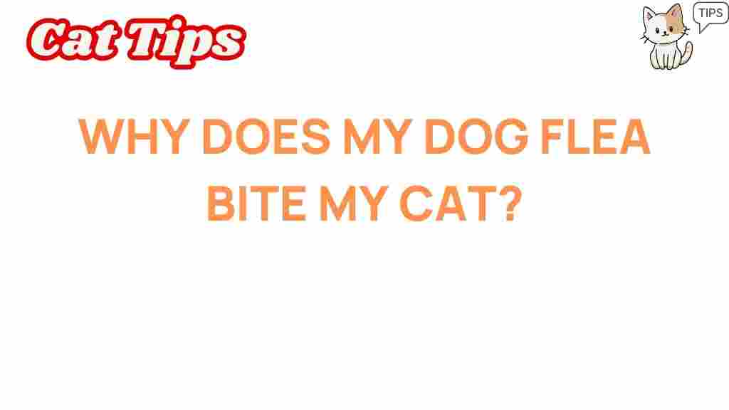 dog-flea-bite-cat