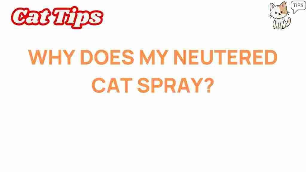 neutered-cats-spray
