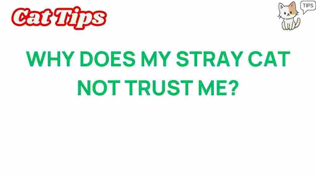stray-cat-trust-issues