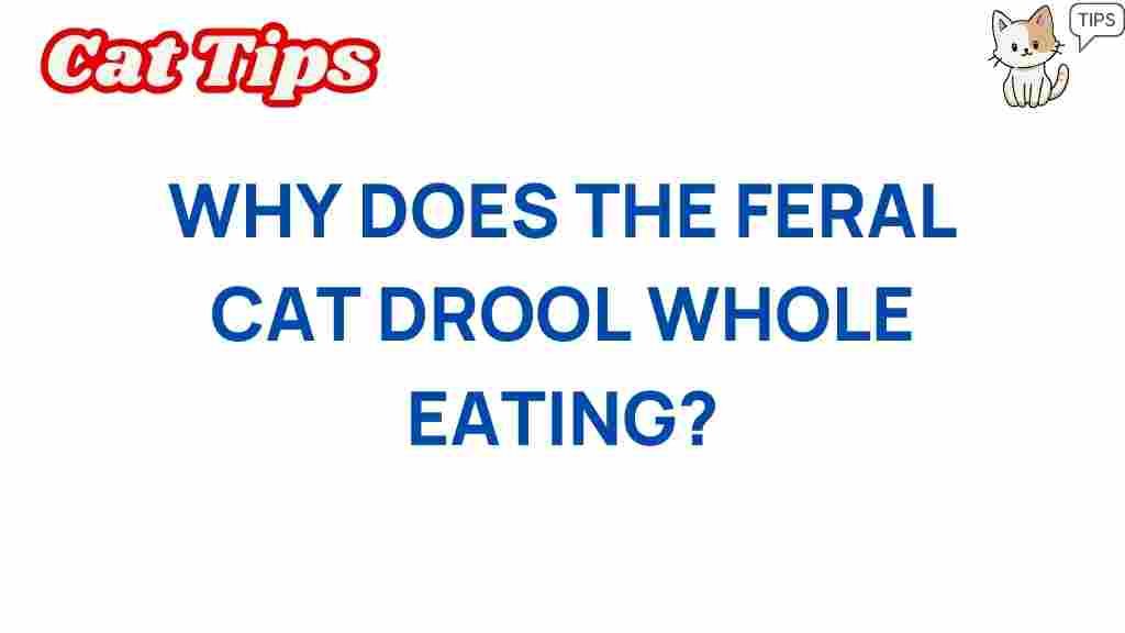 feral-cats-drooling-while-eating